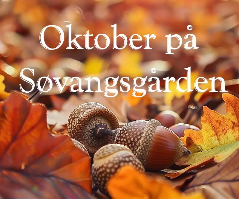 Oktober måned på Søvangsgården