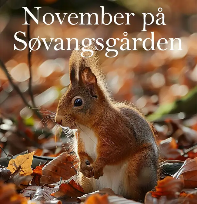 November måned på Søvangsgården