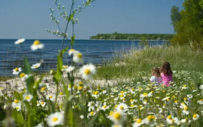 Juni måned på Søvangsgården