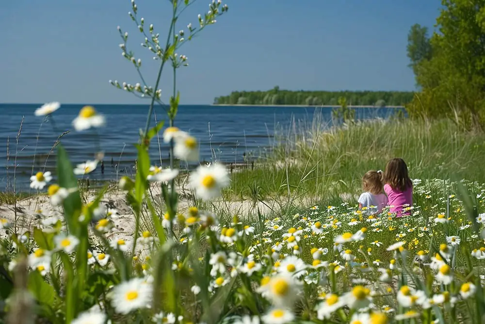 Juni måned på Søvangsgården